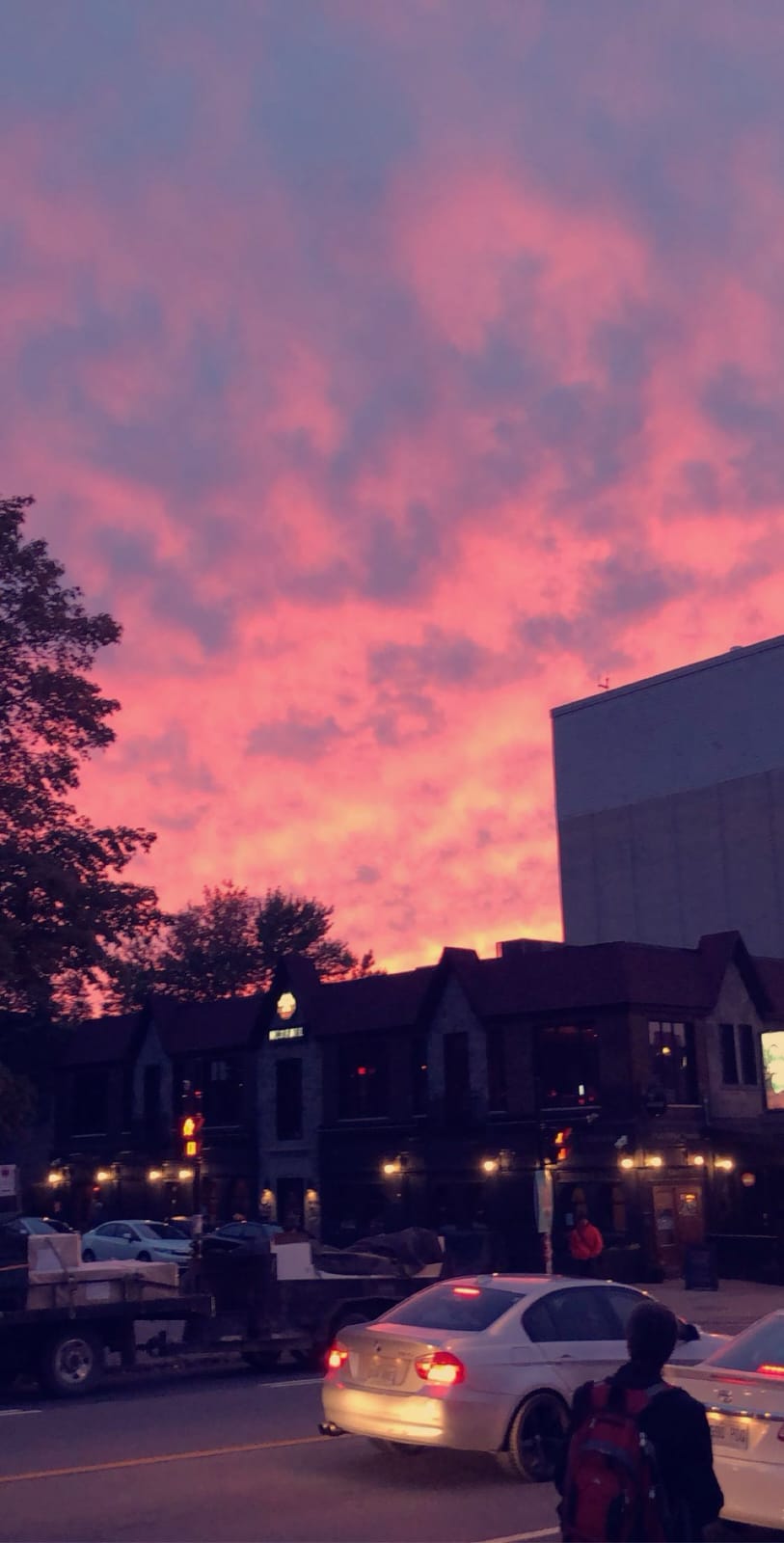 Describe your project